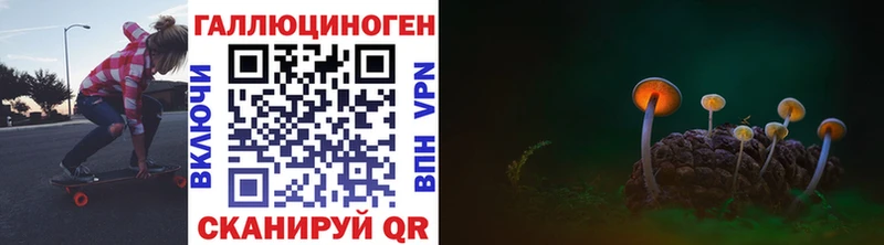 Псилоцибиновые грибы мицелий  kraken онион  Жуковка 